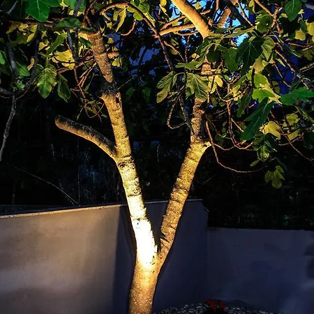 Apartamento Fiora